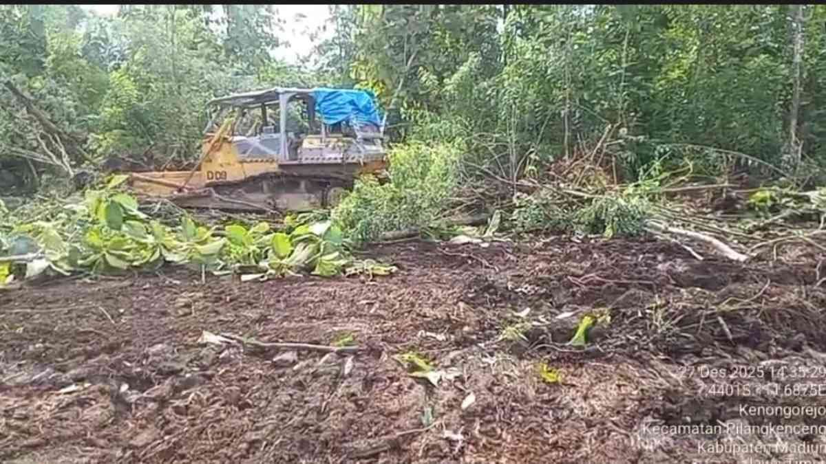 Menanam Harapan Hijau dari Tanah Madiun