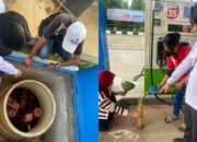 Pertamax Tercampur Air di Palembang, Polda Sumsel Usut Serius Potensi Unsur Pidana