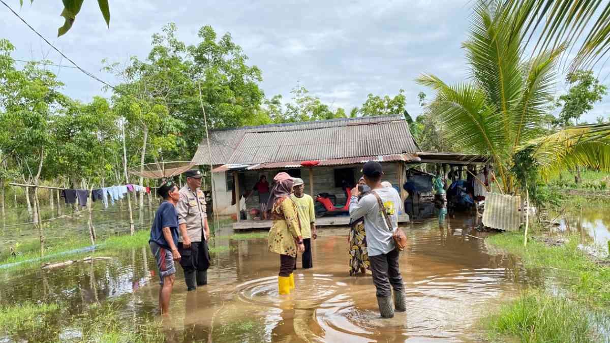 Urgensi Normalisasi Kanal Sungai Mesuji Atasi Banjir Pasang Surut di OKI