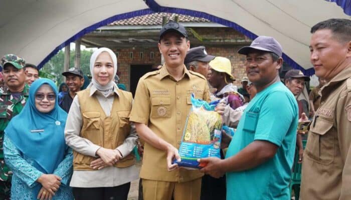 Pacu Pemulihan 6.000 Hektare Sawah, Pemkab OKI Salurkan 142 Ton Benih Padi