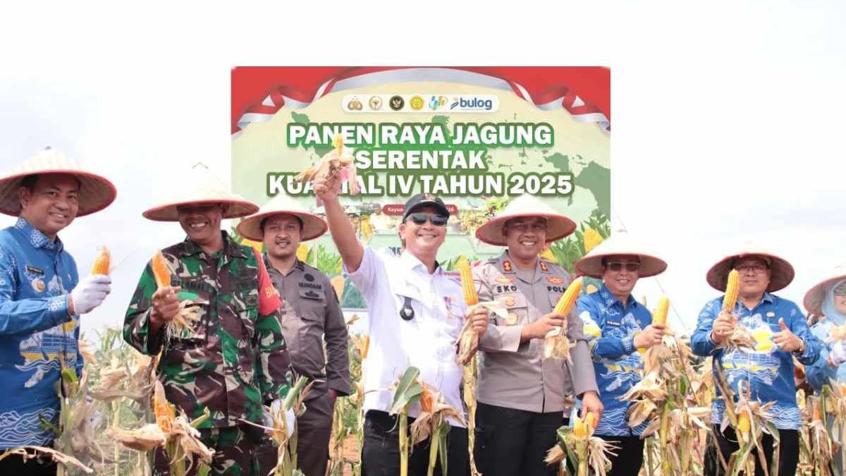 Polres OKI Memperkuat Fondasi Ketahanan Pangan Melalui Panen Raya Jagung Serentak