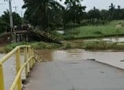 Putusnya Urat Nadi di Ogan Ilir: Saat Eceng Gondok Melumpuhkan Konektivitas Desa