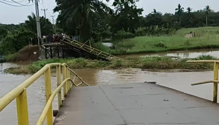 Putusnya Urat Nadi di Ogan Ilir: Saat Eceng Gondok Melumpuhkan Konektivitas Desa
