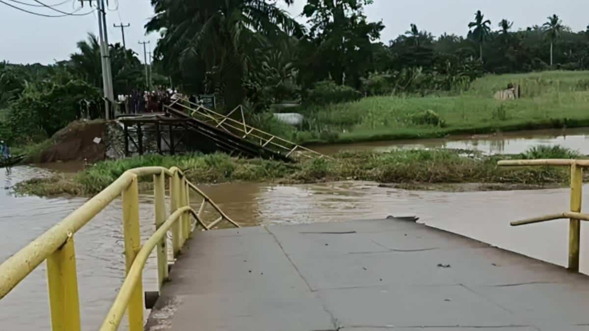 Putusnya Urat Nadi di Ogan Ilir: Saat Eceng Gondok Melumpuhkan Konektivitas Desa