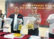 Tragedi di Kebun Sawit Tanjung Lago dan Senjakala Keamanan Lansia