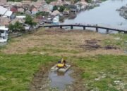 Dilema Penanganan Eceng Gondok Sungai Komering