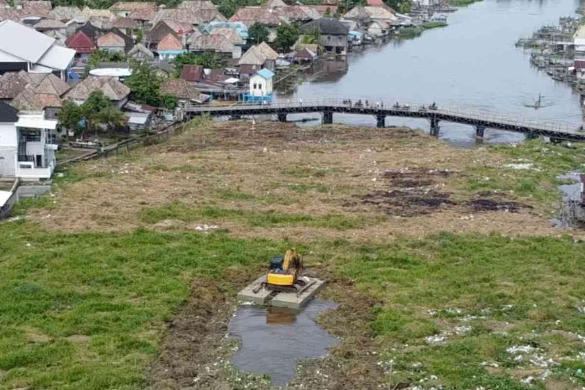 Dilema Penanganan Eceng Gondok Sungai Komering