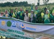 Hilirisasi Riset dalam Ekosistem Kebun Kampus