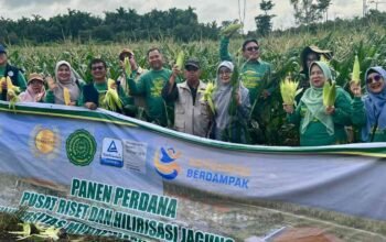 Hilirisasi Riset dalam Ekosistem Kebun Kampus