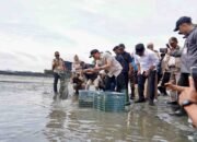 Memperkuat Ekosistem Ekspor Udang OKI melalui Keandalan Listrik