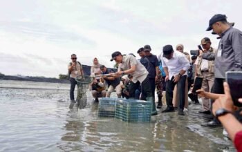 Memperkuat Ekosistem Ekspor Udang OKI melalui Keandalan Listrik