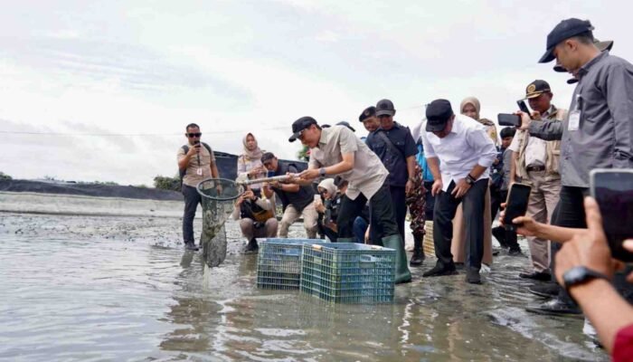 Memperkuat Ekosistem Ekspor Udang OKI melalui Keandalan Listrik