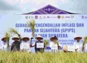 Menakar Taji Sumatera Selatan sebagai Lumbung Pangan Nasional dan Penjaga Stabilitas Harga di Sumatera