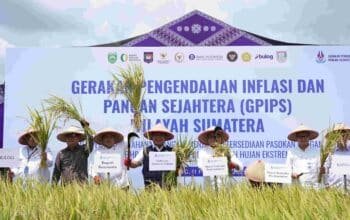 Menakar Taji Sumatera Selatan sebagai Lumbung Pangan Nasional dan Penjaga Stabilitas Harga di Sumatera