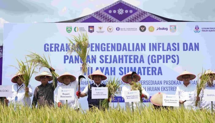 Menakar Taji Sumatera Selatan sebagai Lumbung Pangan Nasional dan Penjaga Stabilitas Harga di Sumatera