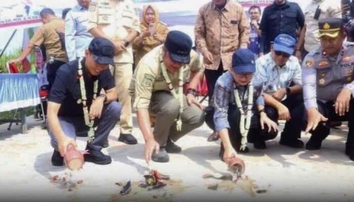 Menaklukkan Medan Rawa