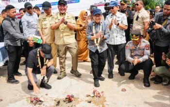 Menanam Beton di Atas Rawa demi Marwah Ekonomi Pesisir Air Sugihan