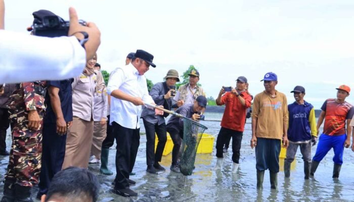 Mendorong Daya Saing Ekspor Udang dari Pesisir Sungai Menang