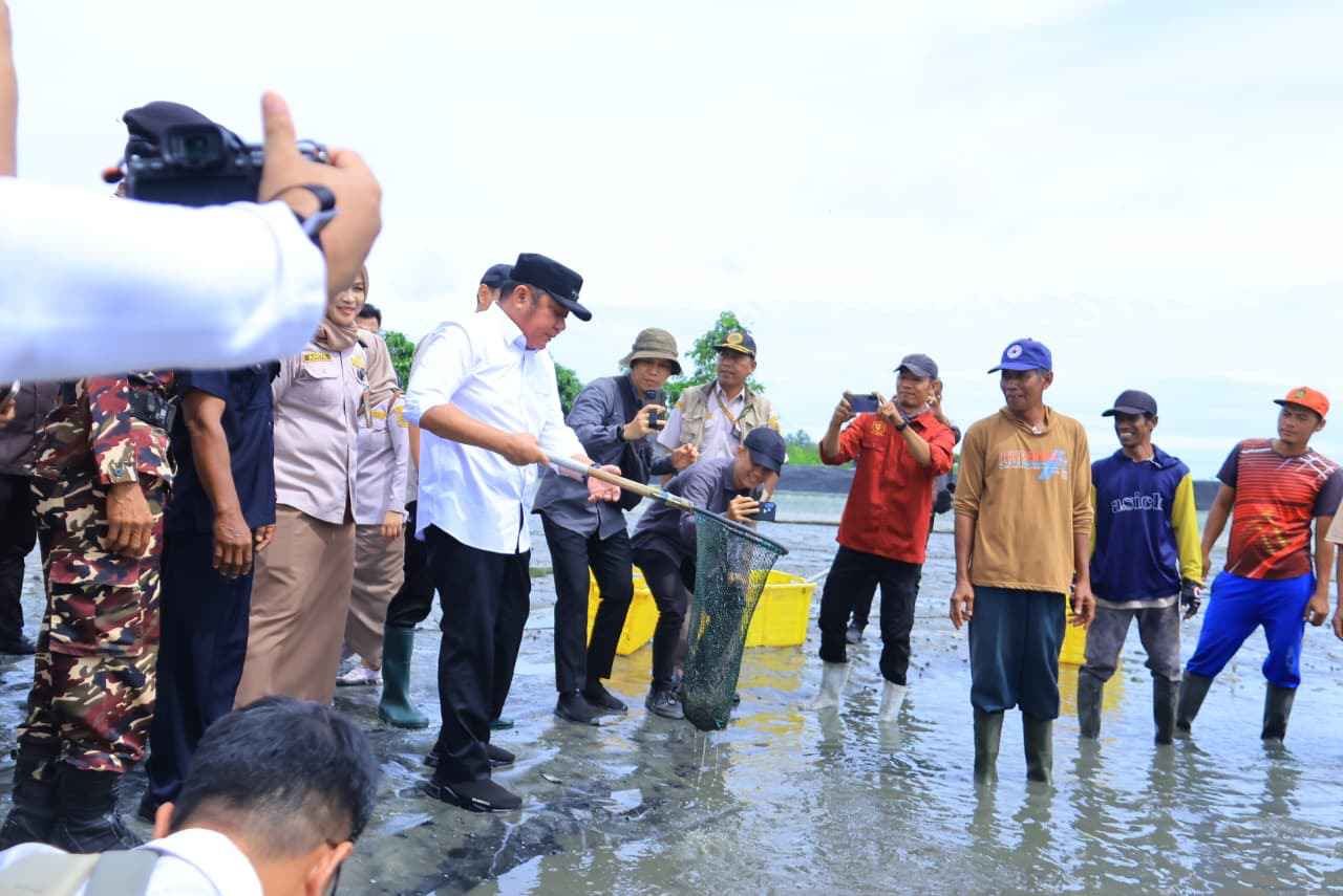 Mendorong Daya Saing Ekspor Udang dari Pesisir Sungai Menang