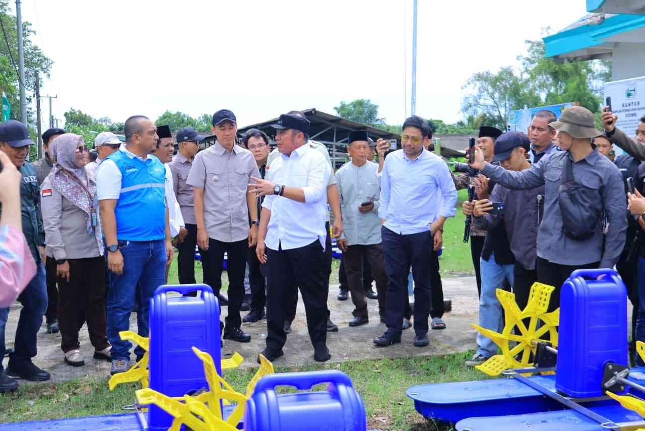 Menembus Batas Logistik di Sentra Udang Sungai Menang
