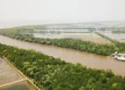 Menjemput Takdir Ekonomi Pantai Timur Ogan Komering Ilir di Tengah Ironi Kebocoran Pendapatan Asli Daerah Pesisir