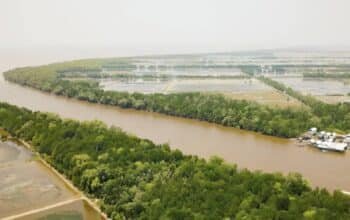 Menjemput Takdir Ekonomi Pantai Timur Ogan Komering Ilir di Tengah Ironi Kebocoran Pendapatan Asli Daerah Pesisir