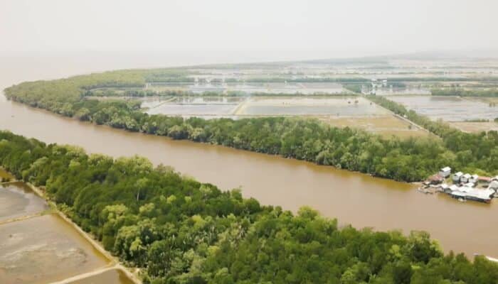 Menjemput Takdir Ekonomi Pantai Timur Ogan Komering Ilir di Tengah Ironi Kebocoran Pendapatan Asli Daerah Pesisir