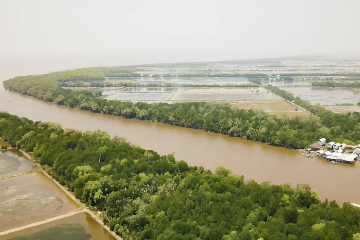 Menjemput Takdir Ekonomi Pantai Timur Ogan Komering Ilir di Tengah Ironi Kebocoran Pendapatan Asli Daerah Pesisir