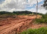 Polda Sumsel Sita Lima Alat Berat Tambang Tanah Ilegal di Banyuasin