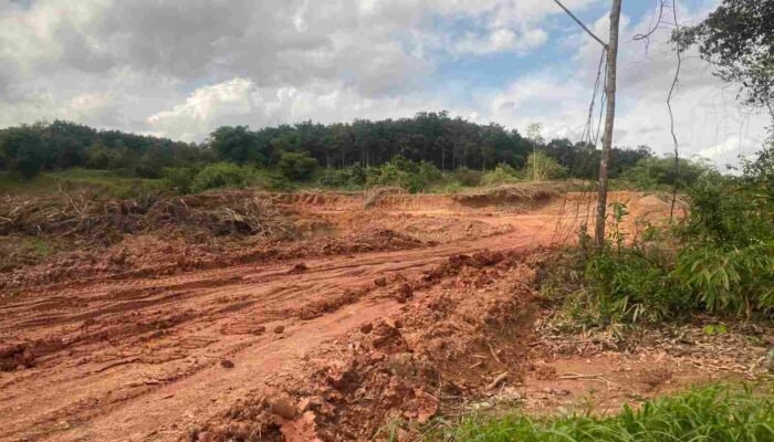 Polda Sumsel Sita Lima Alat Berat Tambang Tanah Ilegal di Banyuasin