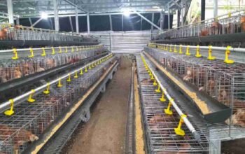 Purnawirawan TNI Perkuat Ketahanan Pangan Lempuing