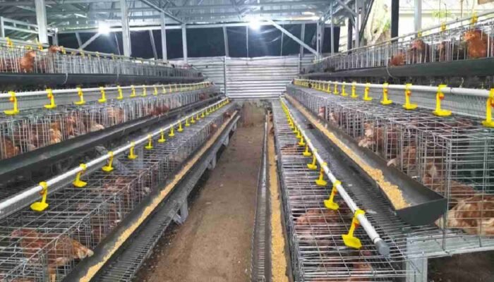 Purnawirawan TNI Perkuat Ketahanan Pangan Lempuing