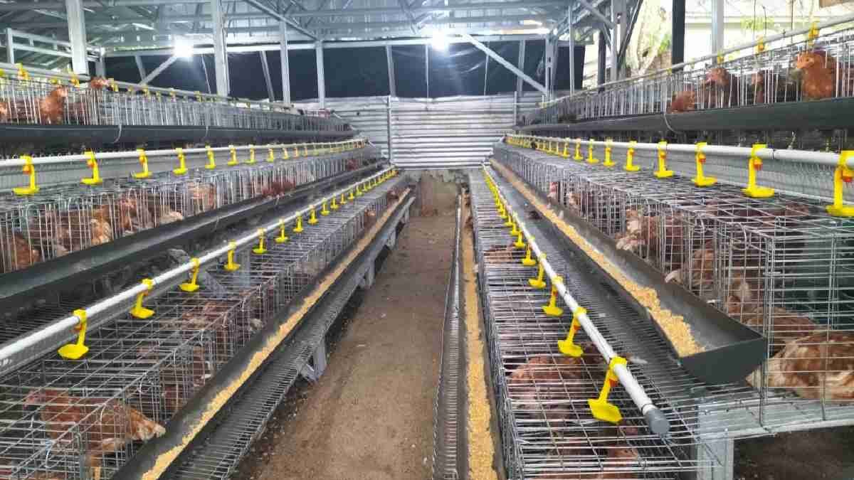 Purnawirawan TNI Perkuat Ketahanan Pangan Lempuing