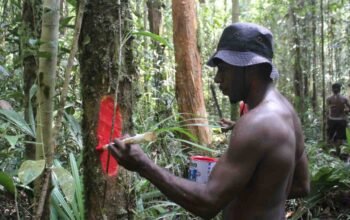 Kain Merah di Kordaimahkrah Menjaga Ruang Hidup Masyarakat Distrik Konda
