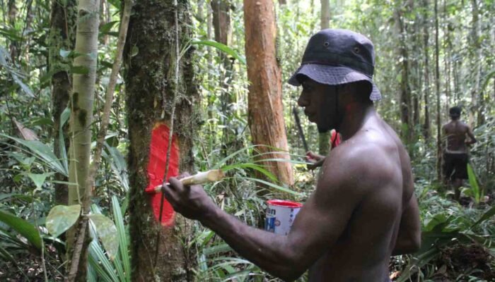 Kain Merah di Kordaimahkrah Menjaga Ruang Hidup Masyarakat Distrik Konda