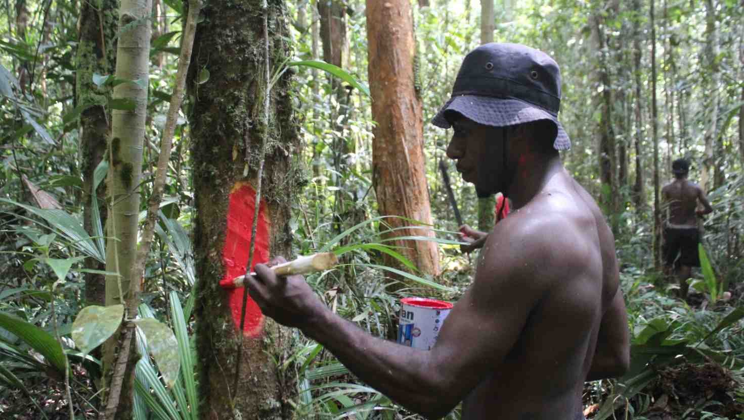 Kain Merah di Kordaimahkrah Menjaga Ruang Hidup Masyarakat Distrik Konda
