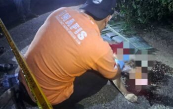 Misteri Tutup Box Aki di Balik Temuan Jasad Ibu Rumah Tangga di Pinggir Jalan Desa Sungai Rasau