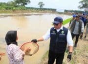 Herman Deru Pacu Percepatan Tanam di Lumpur Banyuasin