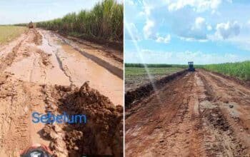 PTPN VII Percepat Pemulihan Jalan Sribandung Pascaprotes Warga