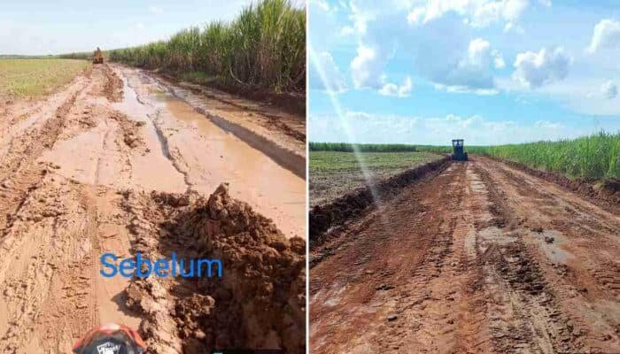 PTPN VII Percepat Pemulihan Jalan Sribandung Pascaprotes Warga