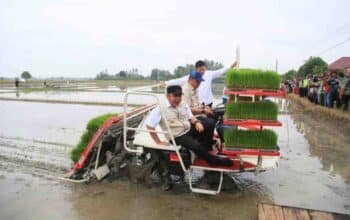 Strategi Mitigasi El Nino, Herman Deru dan Wamentan Pacu Percepatan Tanam di OKU Timur
