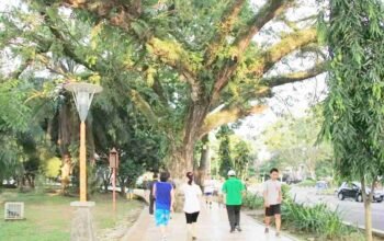 Belum Penuhi Syarat Minimal 30 Persen, Ruang Terbuka Hijau Palembang Minim Resapan Air