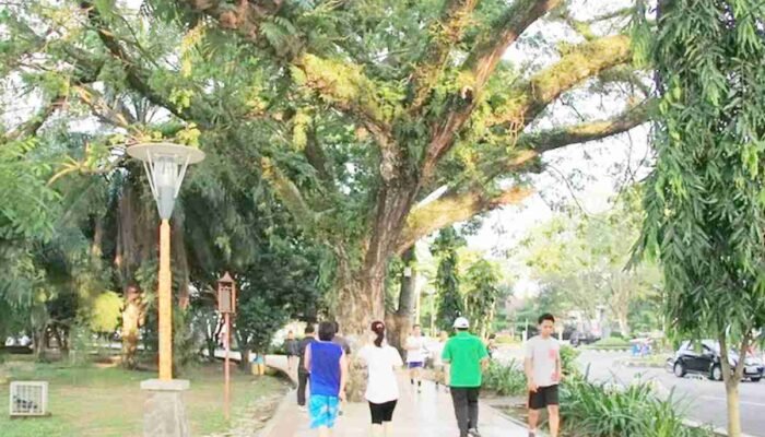 Belum Penuhi Syarat Minimal 30 Persen, Ruang Terbuka Hijau Palembang Minim Resapan Air