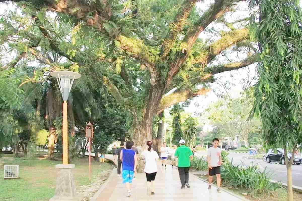 Belum Penuhi Syarat Minimal 30 Persen, Ruang Terbuka Hijau Palembang Minim Resapan Air