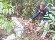 Bongkar Rekayasa Amuk Massa di OKU Selatan, Polisi Ringkus Pembunuh di Kebun Kopi