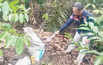 Bongkar Rekayasa Amuk Massa di OKU Selatan, Polisi Ringkus Pembunuh di Kebun Kopi