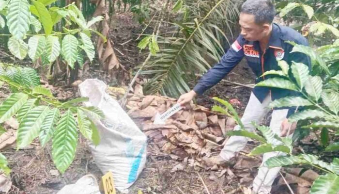 Bongkar Rekayasa Amuk Massa di OKU Selatan, Polisi Ringkus Pembunuh di Kebun Kopi