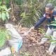 Bongkar Rekayasa Amuk Massa di OKU Selatan, Polisi Ringkus Pembunuh di Kebun Kopi