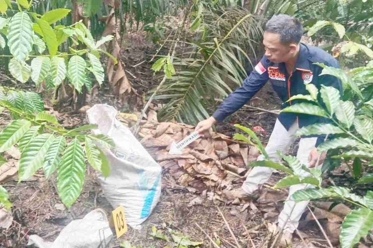Bongkar Rekayasa Amuk Massa di OKU Selatan, Polisi Ringkus Pembunuh di Kebun Kopi