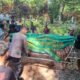 Dekap Hangat Keluarga Korban dan Ikut Gotong Keranda, Cara Kapolsek Lengkiti Redam Sembilu di Bumi Kawa